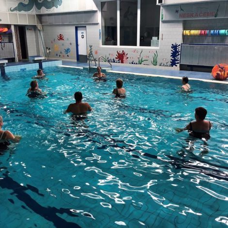 Kosatky Karviná – oddíl plavání